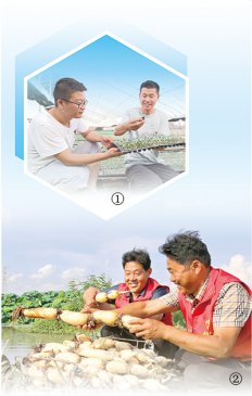 深度关注：支部领着干 乡村活力足