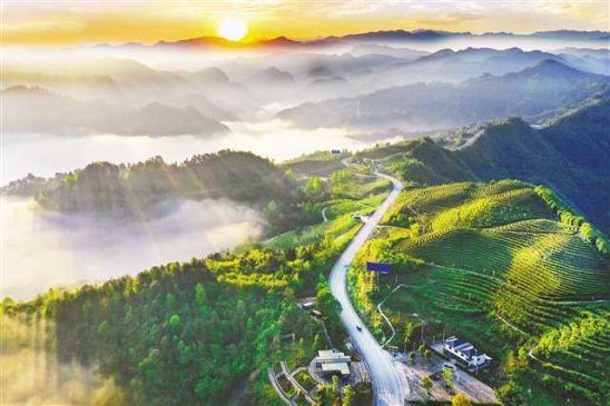 生态产业路助力乡村振兴