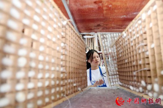 重庆黔江：光伏养蚕助力乡村振兴