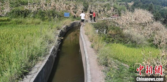 高温致重庆33个区县部分地区土壤轻到重度缺墒正全力抗旱保供水