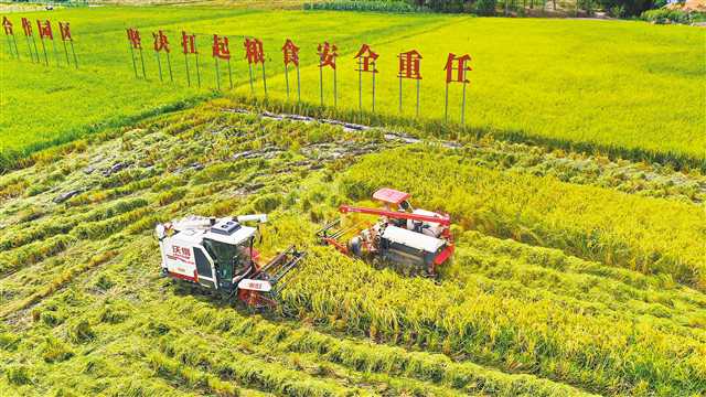 重庆全力抗旱救灾 保秋粮丰收保供水供电