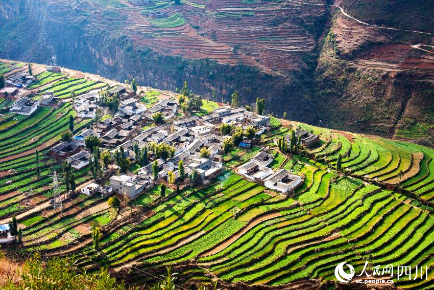 会东梯田。李益民摄