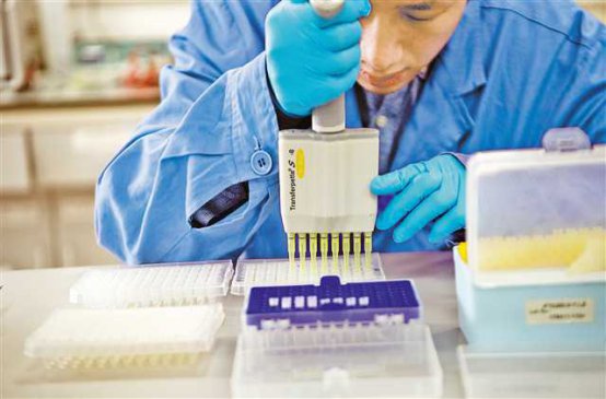 重庆绘就全球首张家蚕超级泛基因组图谱