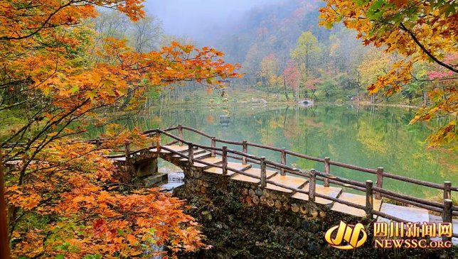 又到满山红叶时 天全发布三条精品旅游线路