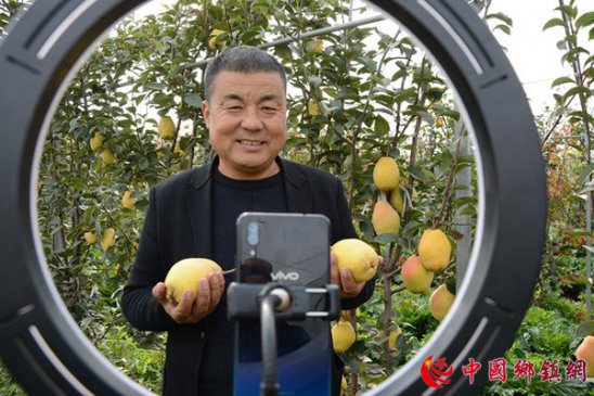 河南内黄县“果树王”书记代言网上卖梨和桃