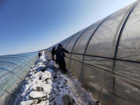 奋进中的黑龙江｜下好春耕备耕“先手棋” 筑牢