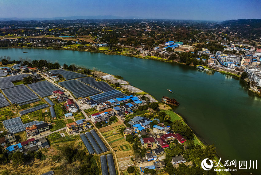 春日风光。张如翠摄