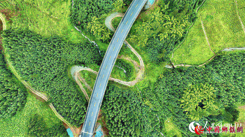 S308瓦屋山快速通道。严贤德 摄 