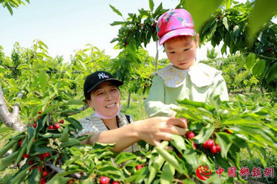 <b>安徽阜阳：农旅融合助增收</b>