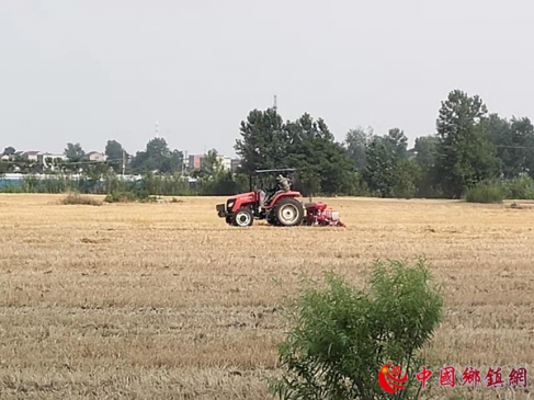 安徽阜阳：枣庄镇全力抢种夏播作物