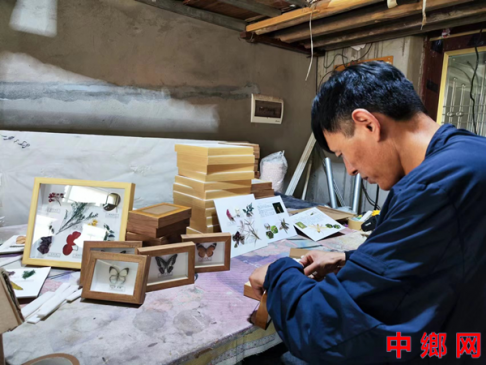 安徽五河：手工制作绽新貌 小小标本促增收