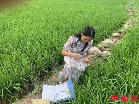 湖南宁远县：加强转基因检测  确保农业生物安全