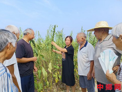 <b>农技知识送到田间地头</b>