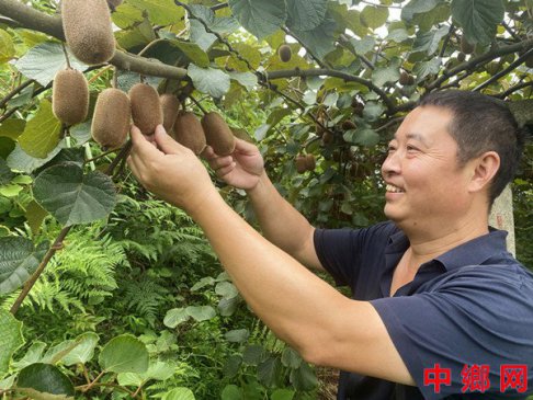 <b>重庆涪陵：丰收时节乡村美</b>