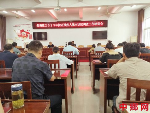 安徽定远县桑涧镇：开展持残疾证人基本情况调