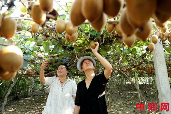<b>安徽阜阳:特色产业拓宽致富路</b>