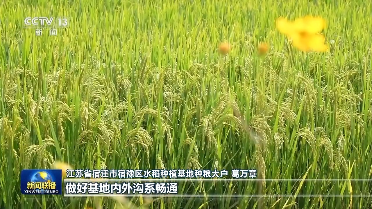农机穿梭好“丰”景 各地抢抓农时收秋粮
