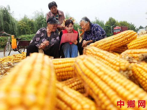 山东郯城：走出门求建议