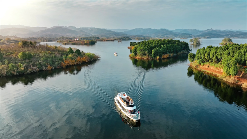 草木临泽竞光辉。东部新区供图
