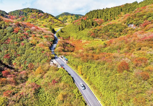 重庆南川：金佛山上秋意浓