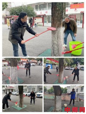湖南宁远县印山小学：立足岗位做贡献 为大树御