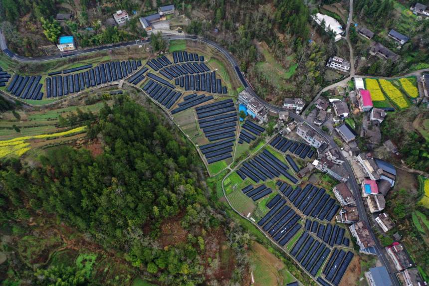 鸟瞰重庆市黔江区鹅池镇方家村羊肚菌种植基地一角。杨敏摄