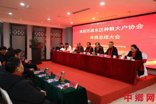 安徽颍东：召开种粮大户协会年终总结大会