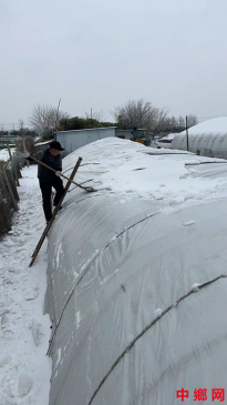 安徽阜阳：枣庄镇应对低温雨雪凝冻天气保障农