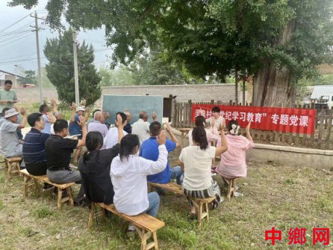 安徽：凤阳县武店镇灵泉村举办“银杏树下学党