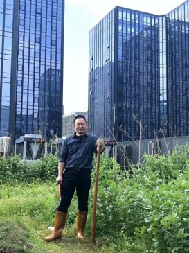 这些年轻人为何在城里种地上瘾