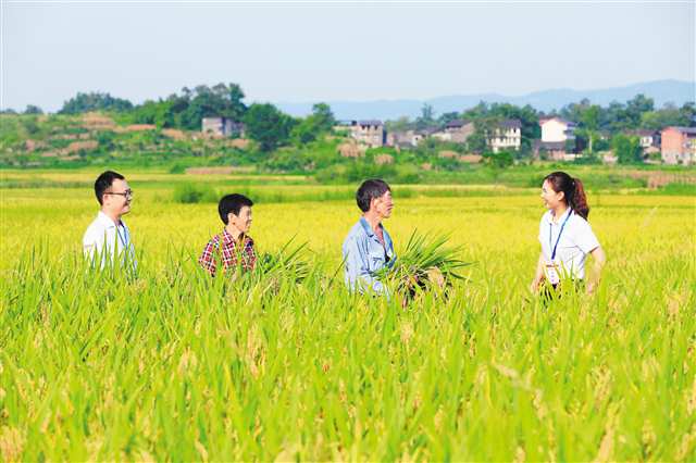 长寿区纪检监察干部深入新市街道田间地头搜集问题线索、倾听群众呼声。（长寿区纪委监委供图）