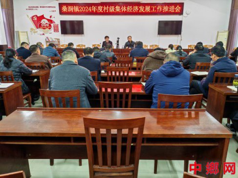 安徽定远县桑涧镇：召开村级集体经济发展工作