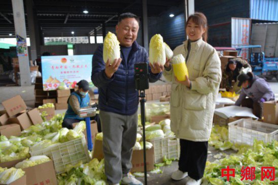 河南内黄助农书记团队助力乡村振兴