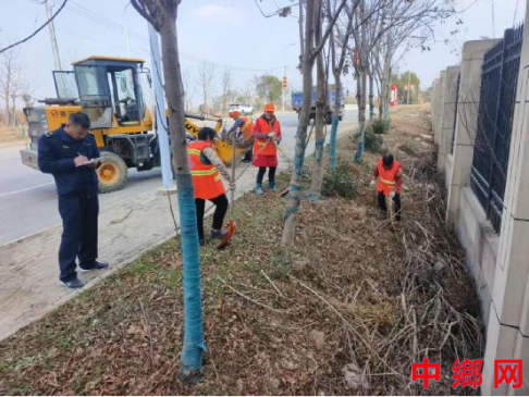 安徽庐江县郭河镇：为道路“美颜” 让乡村“靓