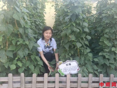 山西绛县农商银行“五小建设”——小菜园