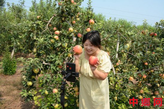 河南：内黄文旅推荐官直播助农
