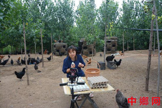 党建引领“小鸡”变“金鸡”河南内黄东庄镇奏