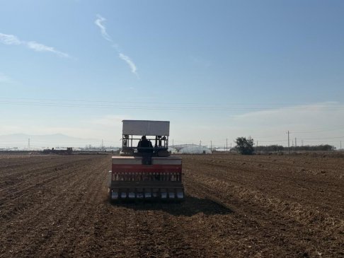 今冬不放松，来年“丰”可期——多地冬种及田