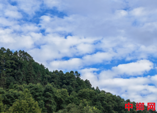 四川成都：松涛蘸墨，绘就彭州龙门山的清凉诗