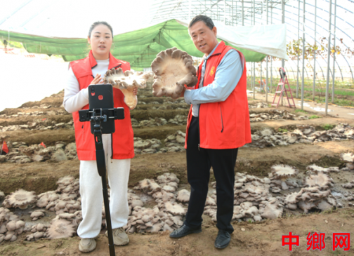 河南内黄县“灵芝菇书记”——王红林