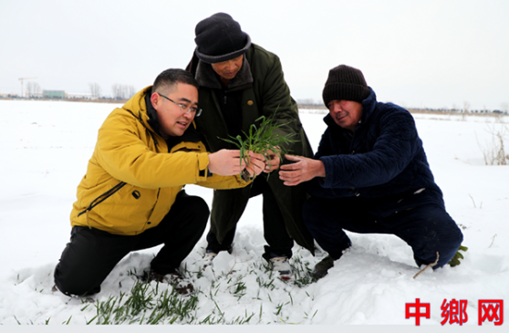 安徽阜阳：雪地传技