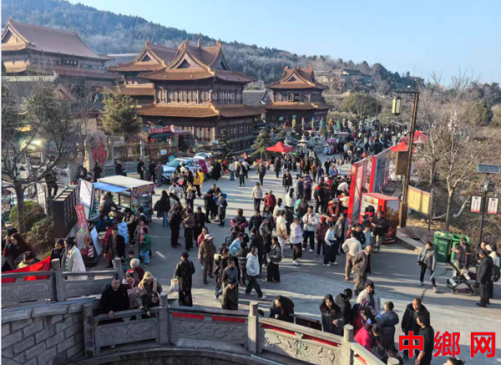 安徽怀远：龙马鱼灯皮影戏  白乳泉边年味浓