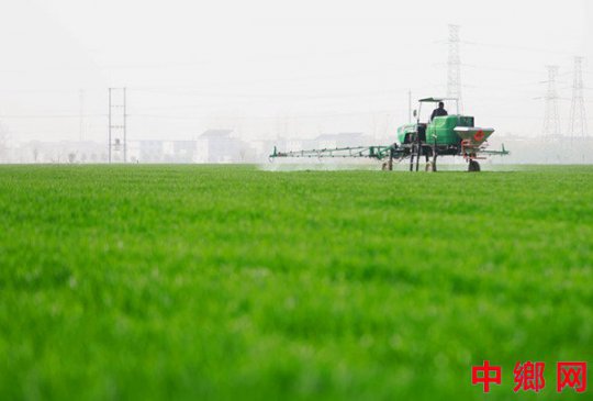 <b>抓农时 忙田管</b>