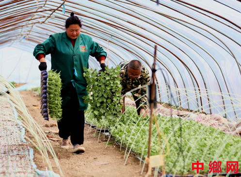 惊蛰时节农事忙