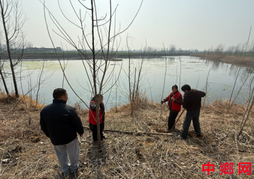 安徽凤阳：大庙镇计生协开展“植绿护绿，情系