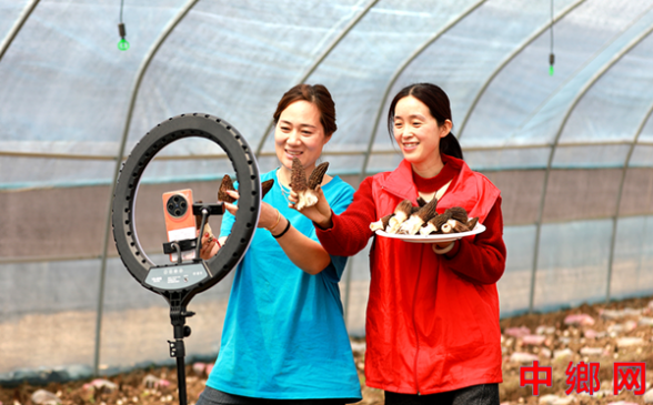 安徽阜阳：直播助农拓销路