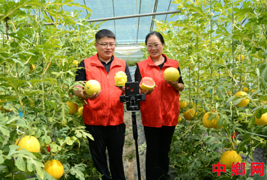 河南内黄：村书记和直播达人直播助农“云端”