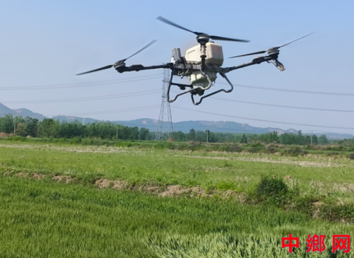 安徽凤阳：大庙镇召开小麦赤霉病防治现场会