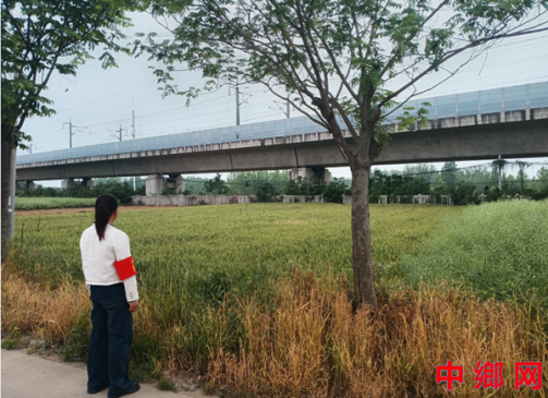 <b>安徽凤阳大庙镇：多措并举撑起铁路安全“保护伞”</b>
