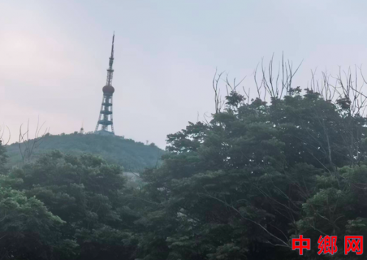 安徽怀远：从“绿满荆山”到“荆山满绿”